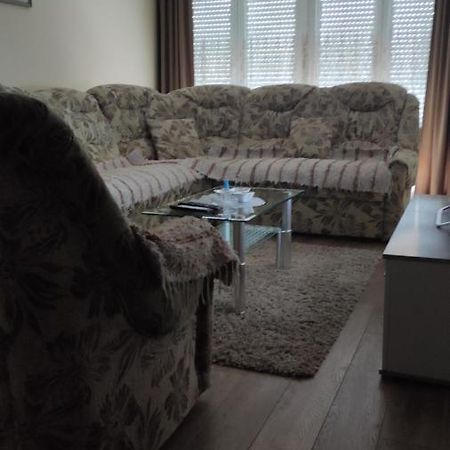 Centar_Park Apartman Arandjelovac Kültér fotó