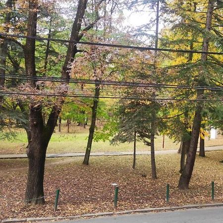 Centar_Park Apartman Arandjelovac Kültér fotó