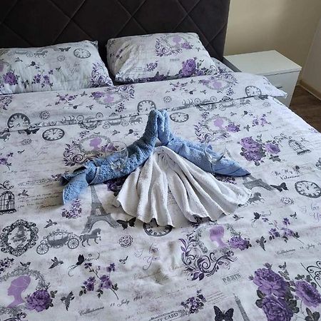 Centar_Park Apartman Arandjelovac Kültér fotó