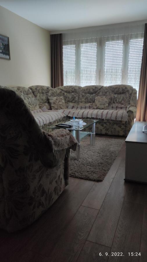 Centar_Park Apartman Arandjelovac Kültér fotó