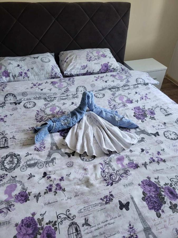 Centar_Park Apartman Arandjelovac Kültér fotó